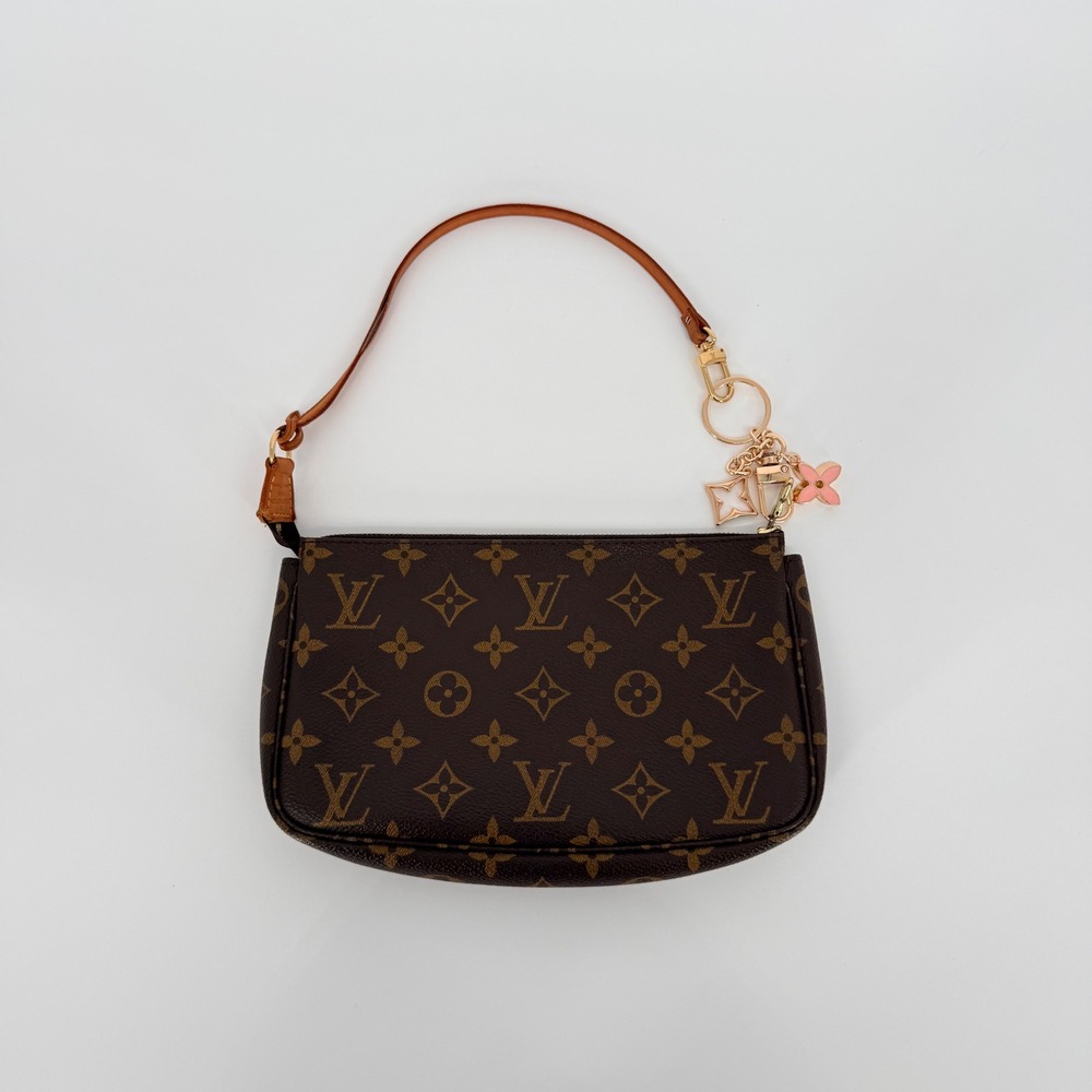 Louis Vuitton Pochette Accessoires Brown Monogram Luxury Y2K Chic Vintage